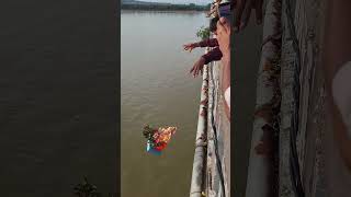 Ganesh Visarjan 2025 Godavari Bridge Godhavarikhani Telangana