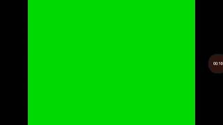 Timon And Pumbaa At The Cinema Green Screen Widescreen Vs Fullscreen2