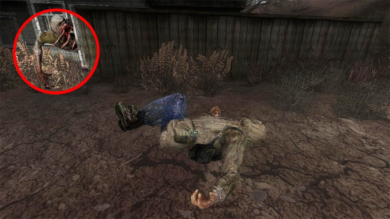 Новый мод на сталкер 2018 игра душ начало Новый мод на сталкер 2018 игра душ начало