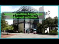 South Carolina Aquarium Walkthrough and Review