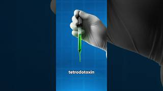 What One Drop Of Tetrodotoxin Does To You?