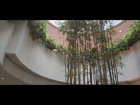 GALA PO TAYO GALA PO TAYO