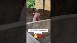 Sad Moment Video
