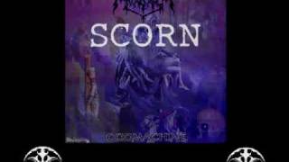 Watch Anasarca Scorn video