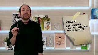 Érettségi 2017 - Biológia Csont- És Izomrendszer