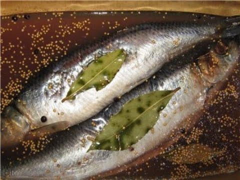Сельдь засолить рецепт