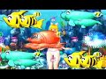 CR スーパー海物語 IN沖縄2 マリンモードマリンちゃんリーチ.flv