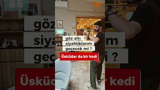 Türkiyenin En Büyük Kedisi Mi ?