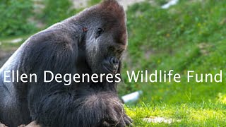 Ellen Degeneres Wildlife Fund