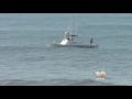 Search Suspended For Missing Swimmer Near Santa Monica Search Suspended For Missing Swimmer Near Santa Monica