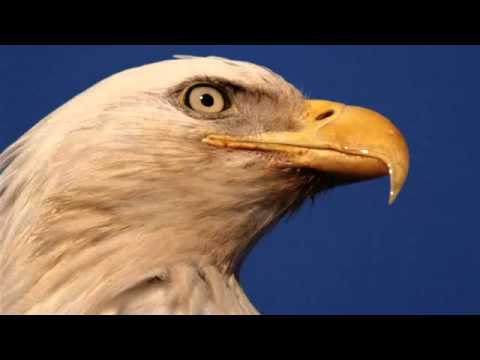 The Eagles Hotel California-True HD Audio-320 KBPS