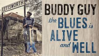 The Blues Is Alive And Well The Blues Is Alive And Well