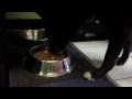 Dog Food Review --- Caru Pet Food | Natural Stews & Treats for Pets