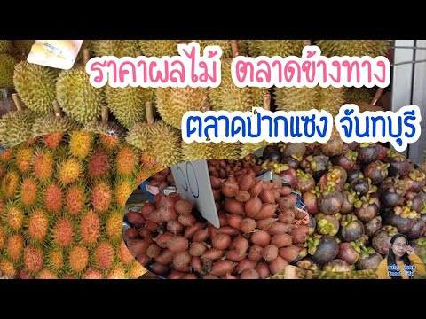 ราคาทุเรียน ราคาผลไม้ เมืองจันทบุรี เงาะ ทุเรียน มังคุด สละ มีเยอะแล้ว!|แม่ตู่ นู๋เตยfoodlife