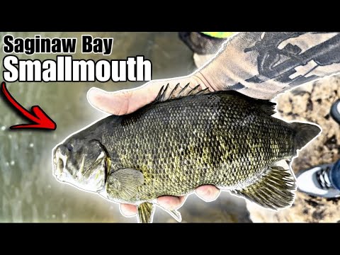 Saginaw Bay Smallmouth and Walleye Fishing From Shore