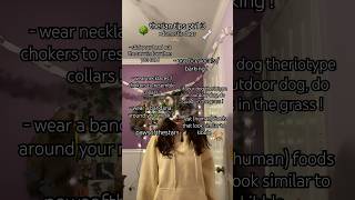 New Series Domestic Dog Therian Tips