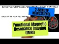 2-Minute Neuroscience: Functional Magnetic Resonance Imaging (fMRI)