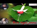new songs 2013 hindi hits indian love latest best romantic videos bollywood album music super mp3