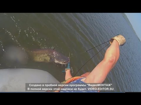 на рыбалке ловля на перемет видео на рыбалке ловля на перемет видео