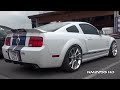 shelby