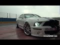 shelby