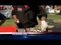 3rd Annual Oyster Festival celebrates all things oyster