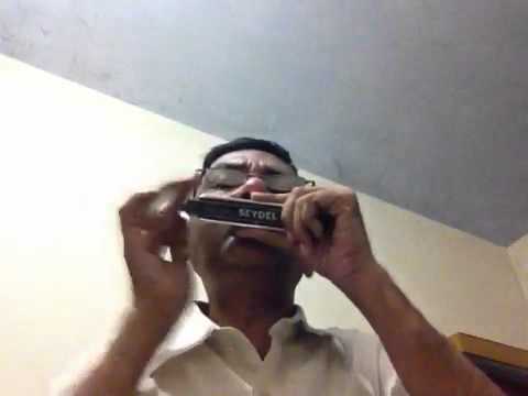 Tumse milke:Parinda plyed on chromatic harmonica in key F
