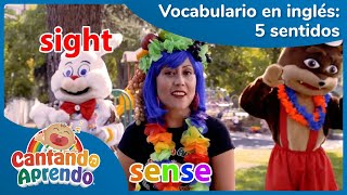 The Five Senses Vocabulario En Inglés Aprende Los Cinco Sentidos Cantando Aprendo