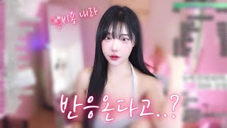 칠 거면 돈 내고 쳐..