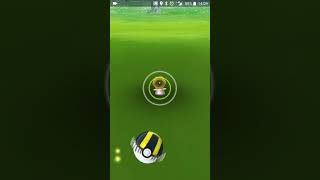 Pokémon Go Mystery Pokémon 891 Footage
