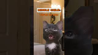 Oldest Child Vs. Middle Child Vs. Youngest Chid Cat Version Lukedavidson81