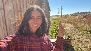 Bringing Electricity To Undeveloped Land 3 Things You Need To Know