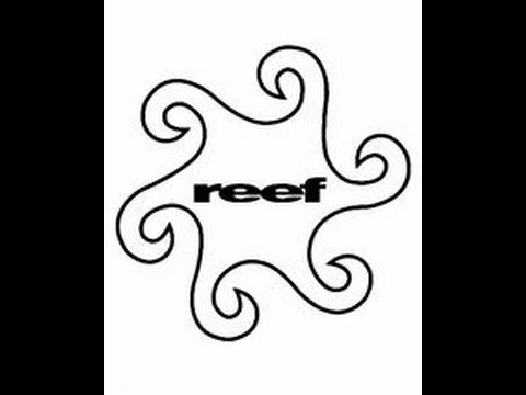 Reef - Good Feeling / Mellow / Choose To Live Reef - Good Feeling / Mellow / Choose To Live