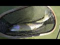 The San Juan River AK-47 fly spring runoff fishing June 2011 Andy Kim
