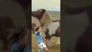 rLJqLjNBdNg Video Image