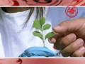 ตรีผลา