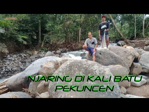 MENJARING DI KALI BATU PEKUNCEN