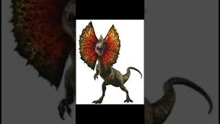 Rexy Chan
