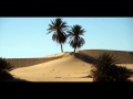 Soundscape Echo - Palm Trees In The Sand (2009)