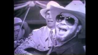 Watch Hank Williams Jr There Is A Tear In My Beer video