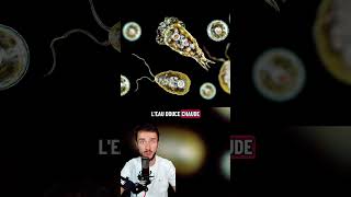 Voici Pourquoi Vous Ne Devez Jamais Sauter Dans Une Eau Sale Et Stagnante