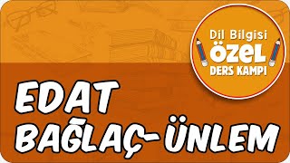 Edat - Bağlaç - Ünlem | Dil Bilgisi Özel Ders Kampı