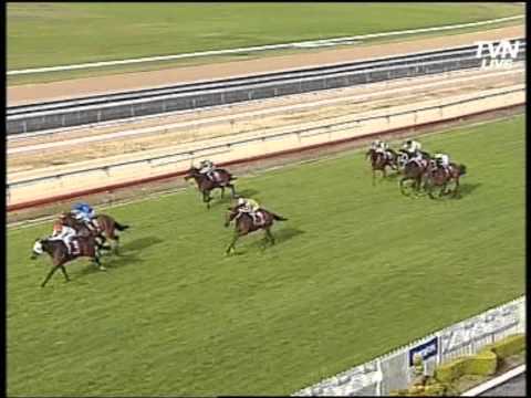 Corporate Event or Wedding Planner 