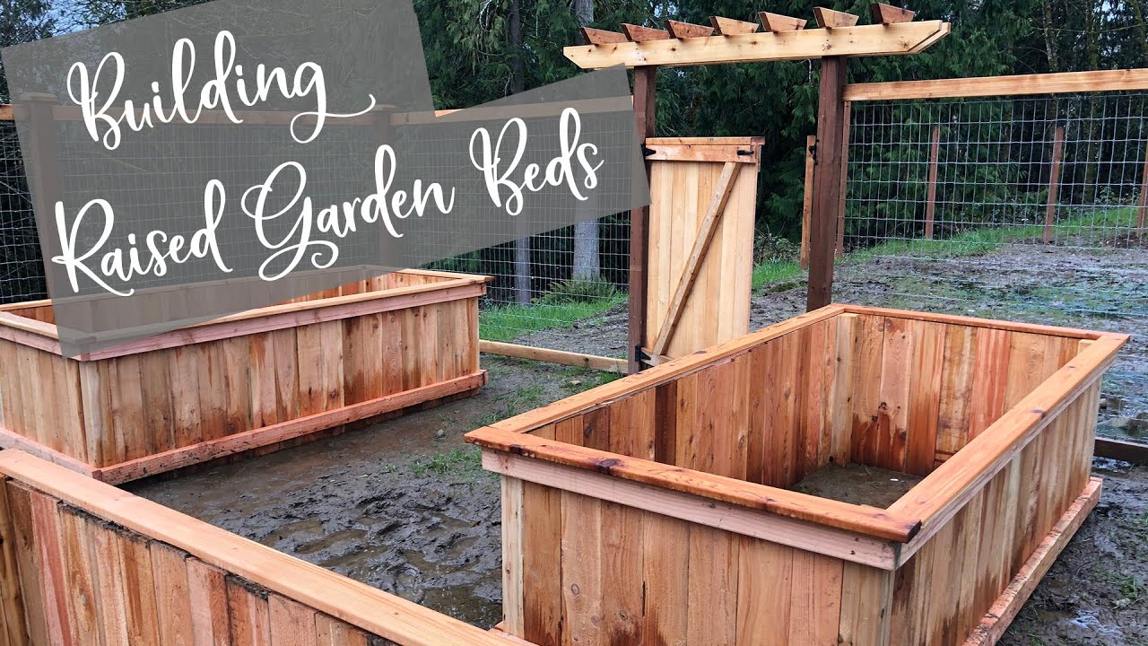 Building Raised Garden Beds on a Budget