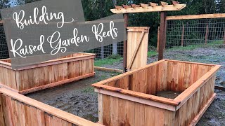 Building Raised Garden Beds on a Budget