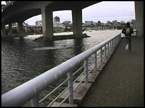 CAMBIE BRIDGE TAIL DROP