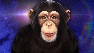 Evies A Monkey Now?? Chimbot