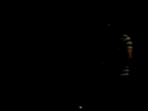 Keep Me Video
