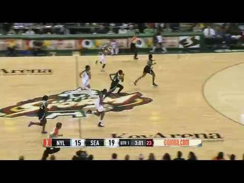 Temeka Johnson Records a Triple Double Against the New York Liberty!