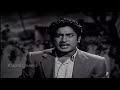 Padmini & Sivaji Ganesan Best Scene || Raja Rani Tamil Movie || Super South Movies